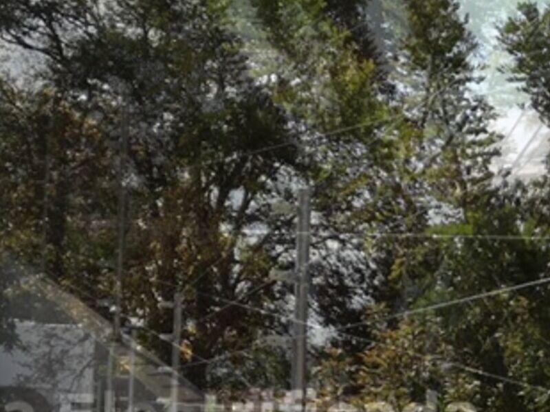 Cerca electrificada Jalisco 