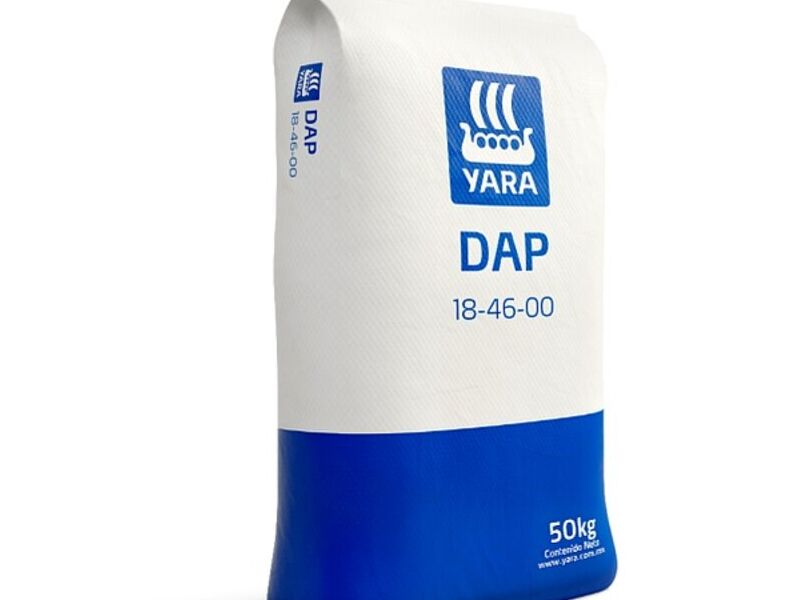 DAP MEXICO