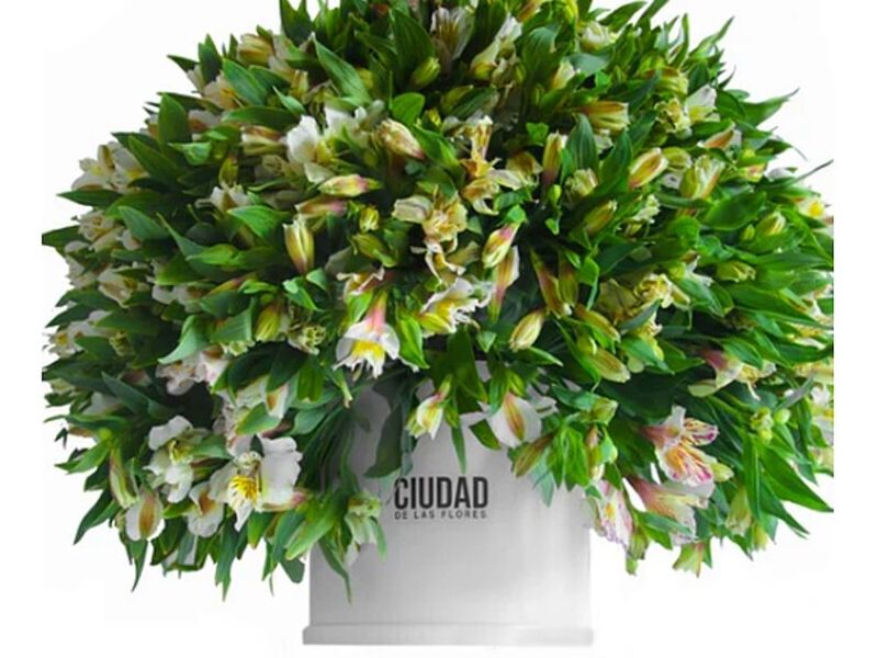 Florero Carnaval Mexico
