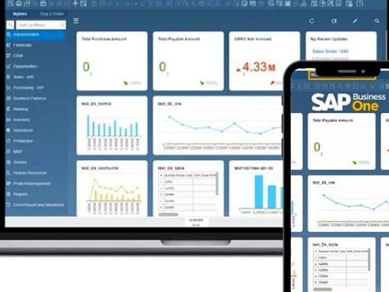 sistema web CMS mexico