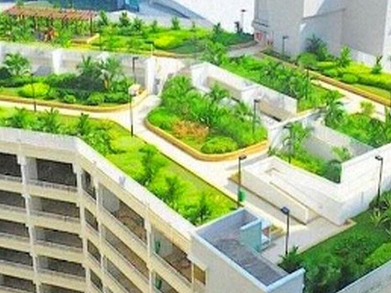 Roof Garden México