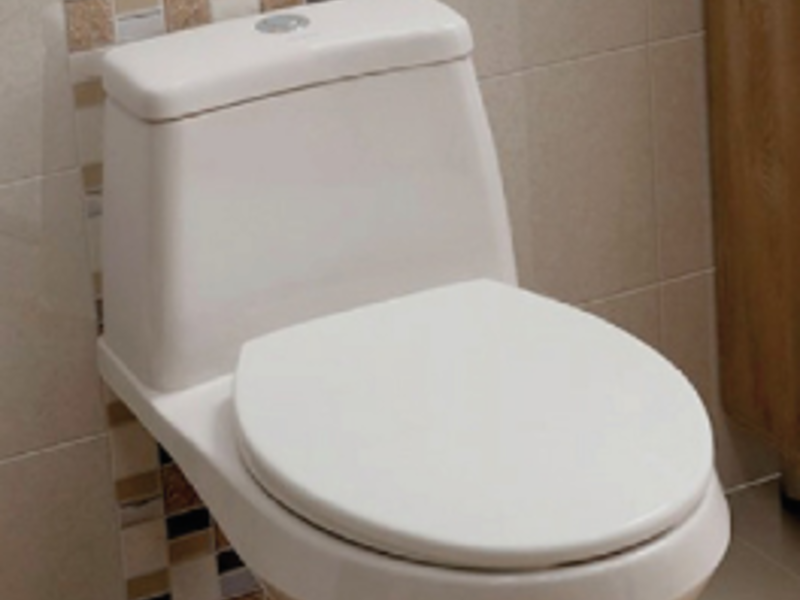 sanitario blanco