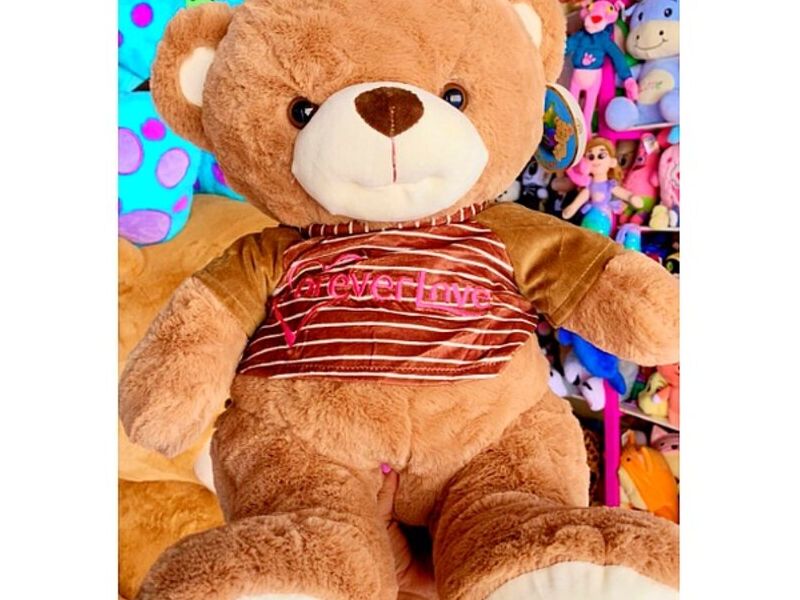 Peluche Infantil 2 México