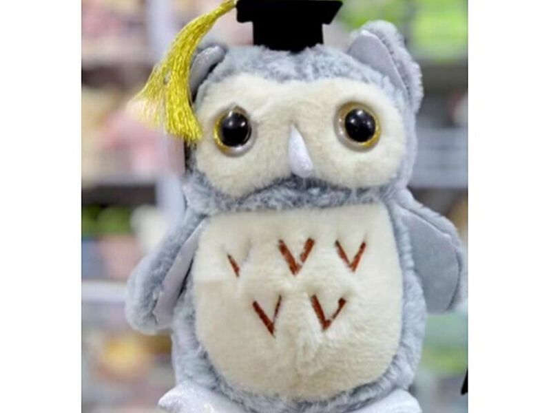 Peluche Infantil México