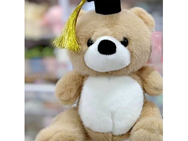 Peluche Infantil 1 México