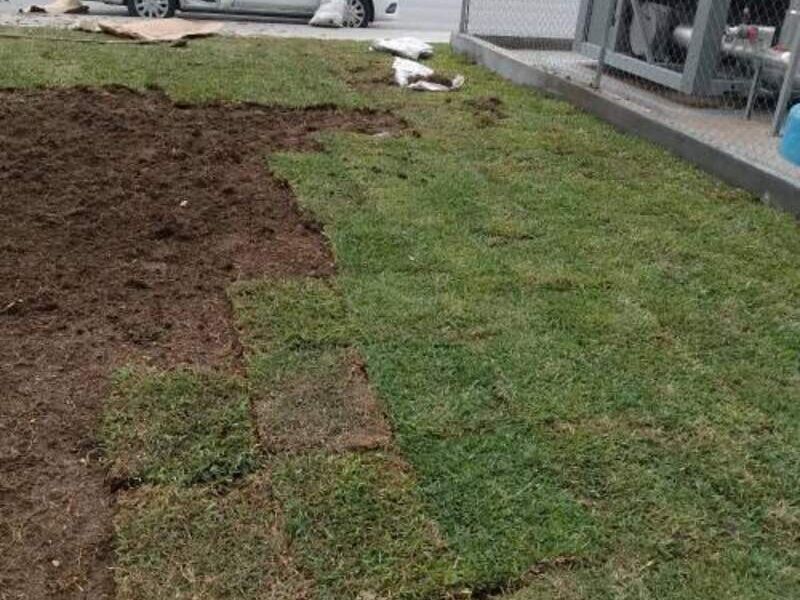 Instalación pasto CDMX