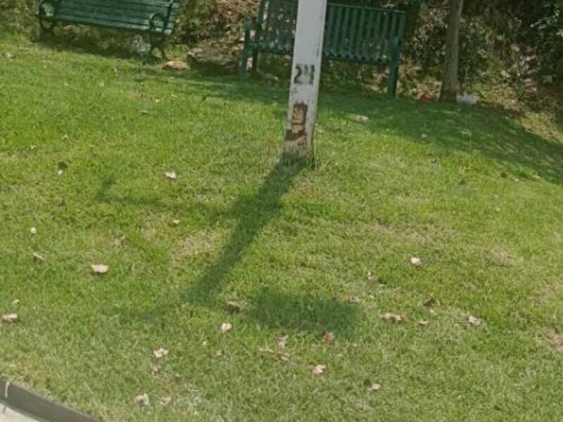 Mantenimiento áreas verdes CDMX