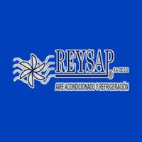 Rey SAP Tepeyac SLP