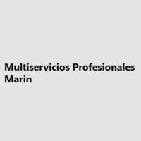 Multiservicios Profesionales Marin  México