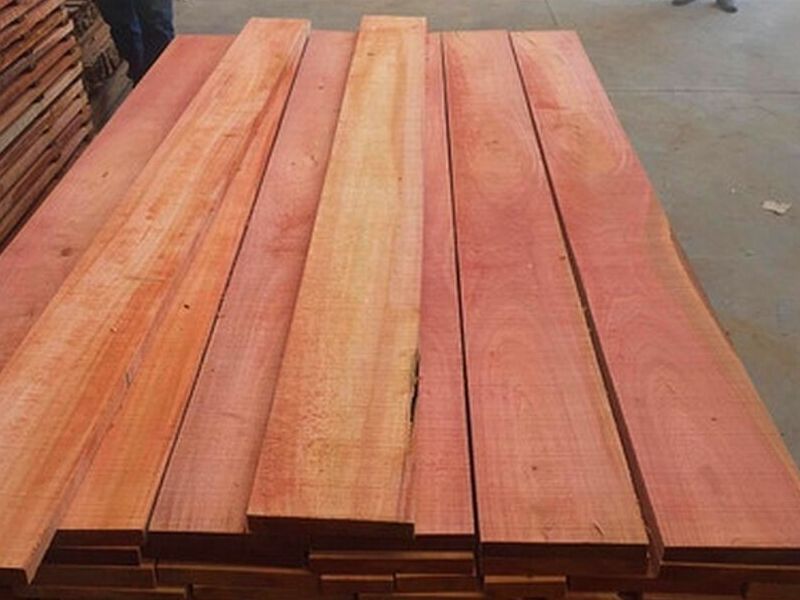 Madera cedro México