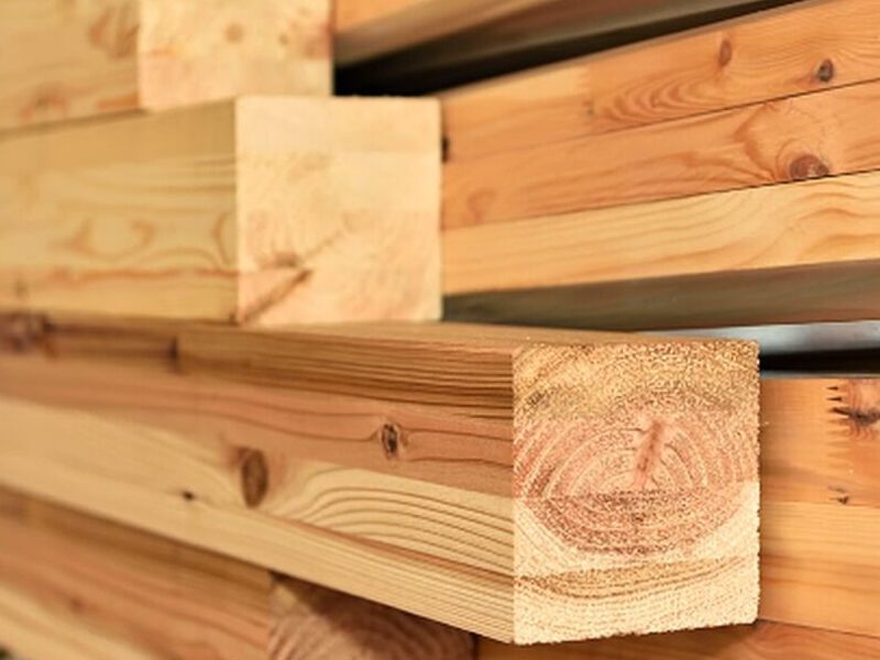 Madera haya México