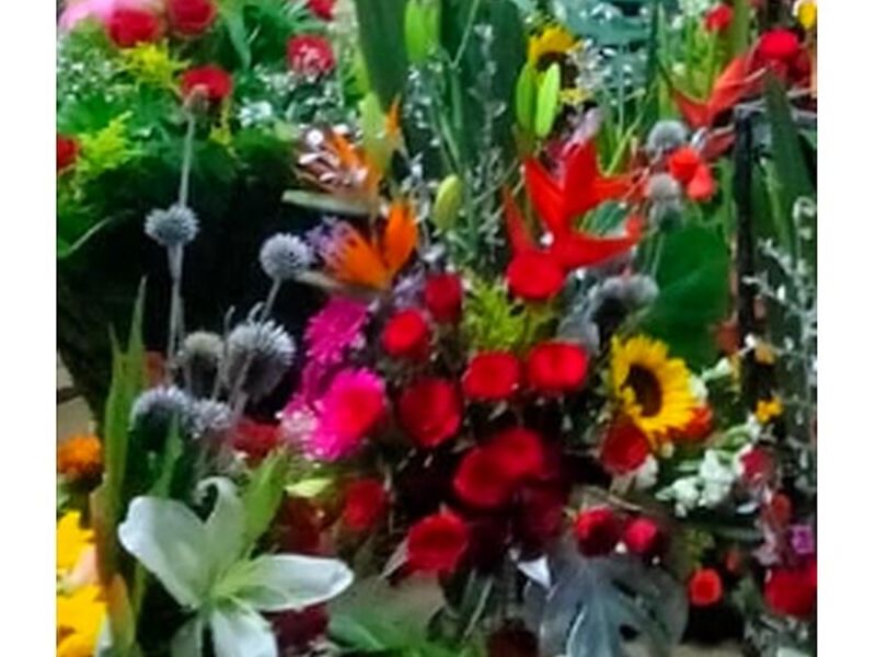 Florero Gigante Mexico
