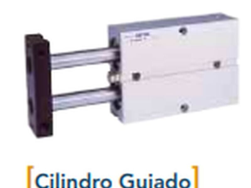 Cilindro Guiado México 