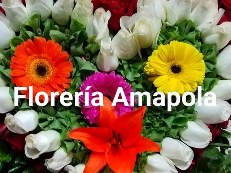 Florero Estrella Mexico