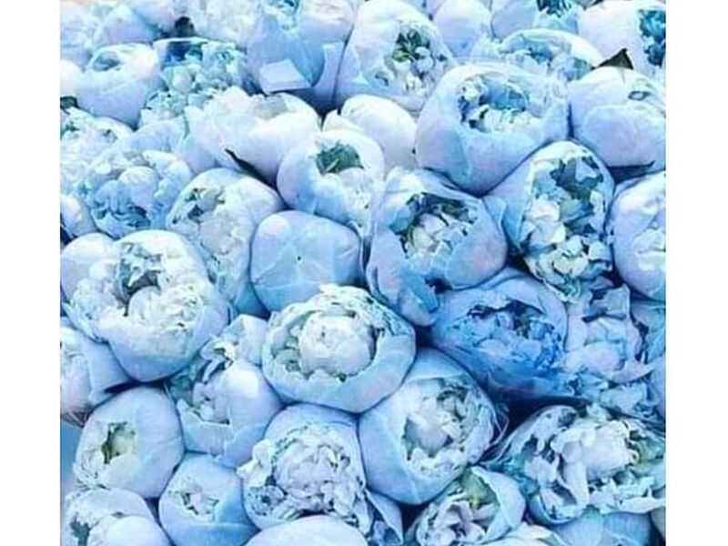 Florero Celeste Mexico