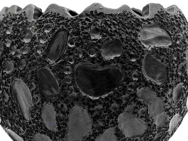 Maceta artística de Barro Negro modelo Luna