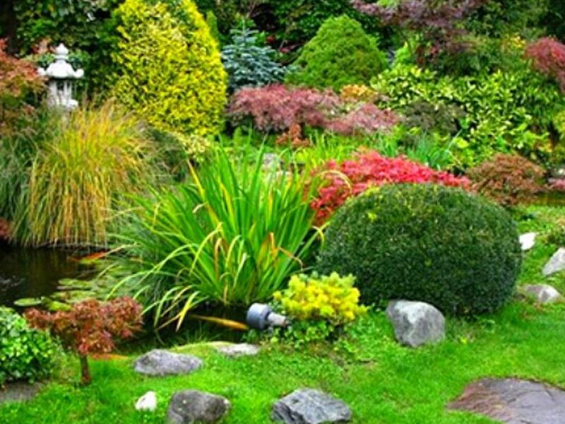 Jardinería  MEXICO