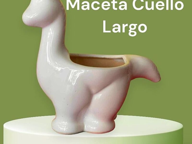 Maceta Cuello Largo