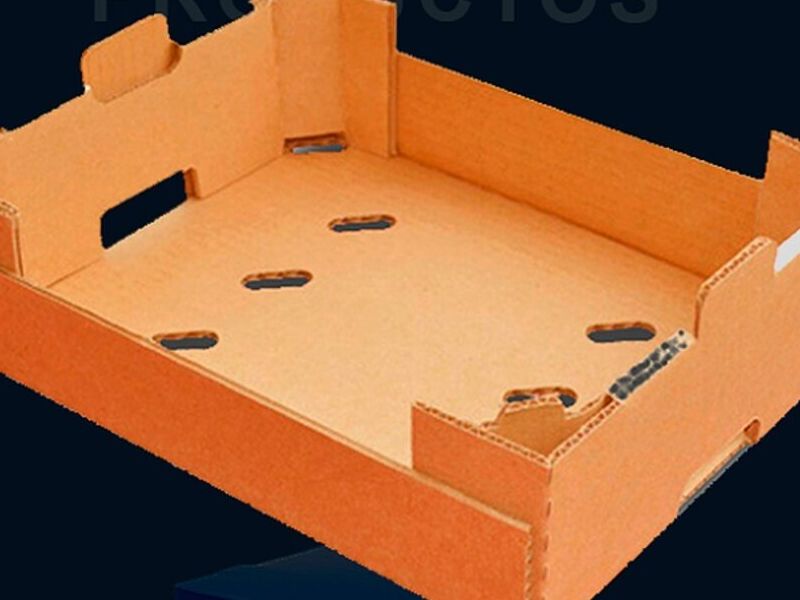 Carton productos Mexico