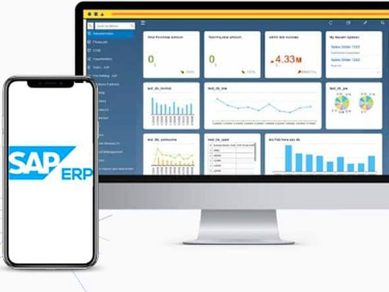software Reportes de ventas mexico