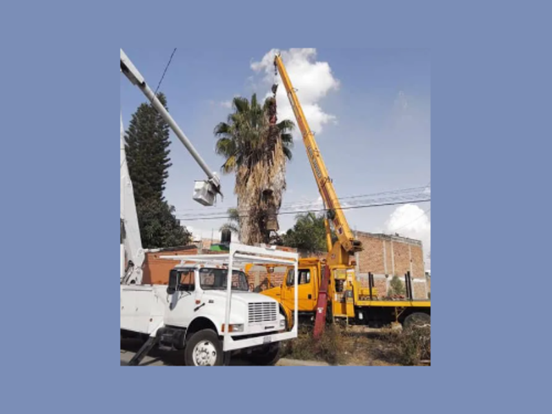 Grua con canastilla 17 mt de altura Mexico