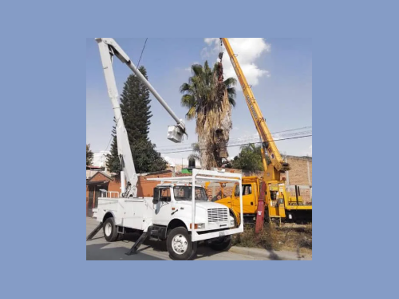 Grua con alcance de 50 pies Mexico