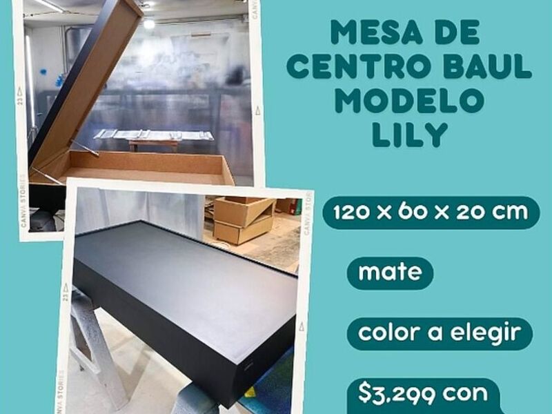 Mesa de centro de mesa baúl