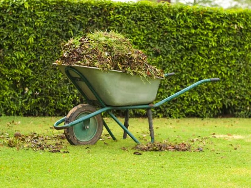 Jardinería  MEXICO