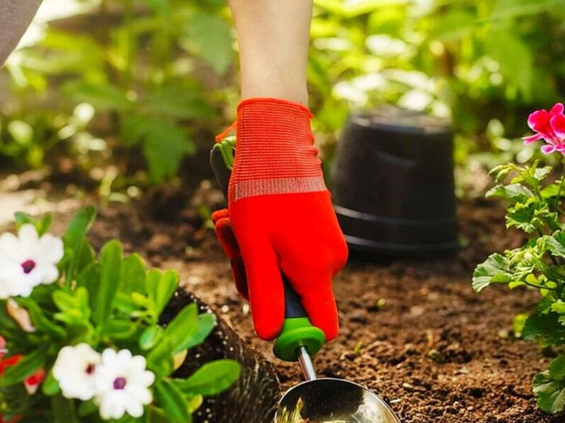 Mantenimiento de jardines MEXICO