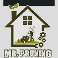 Taller de máquinas Mr. Pruning