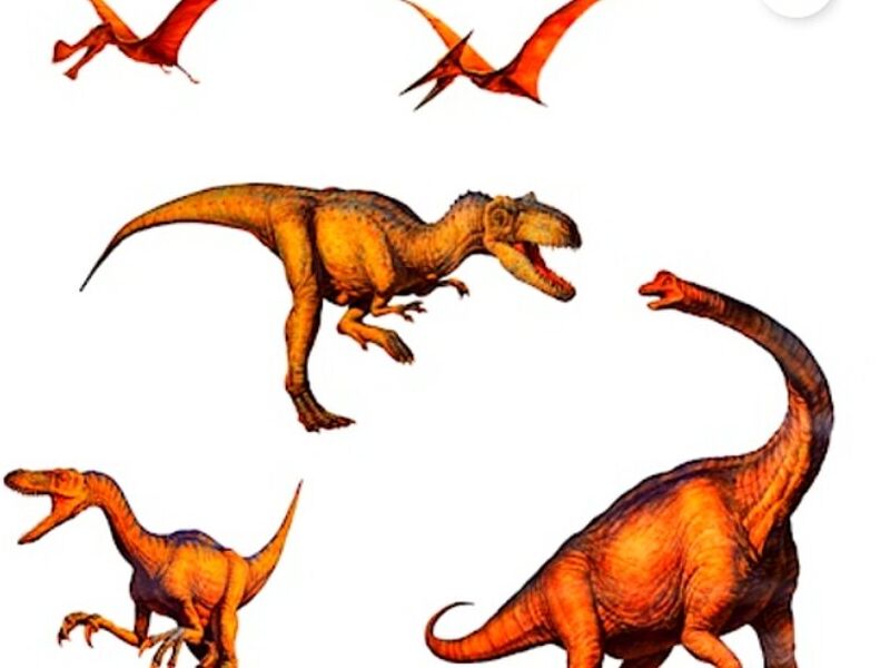 CALCOMANÍAS DE DINOSAURIOS