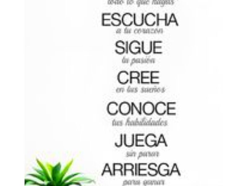 VINIL FRASES