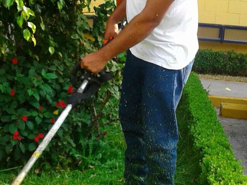 Trabajo jardineria Mexico