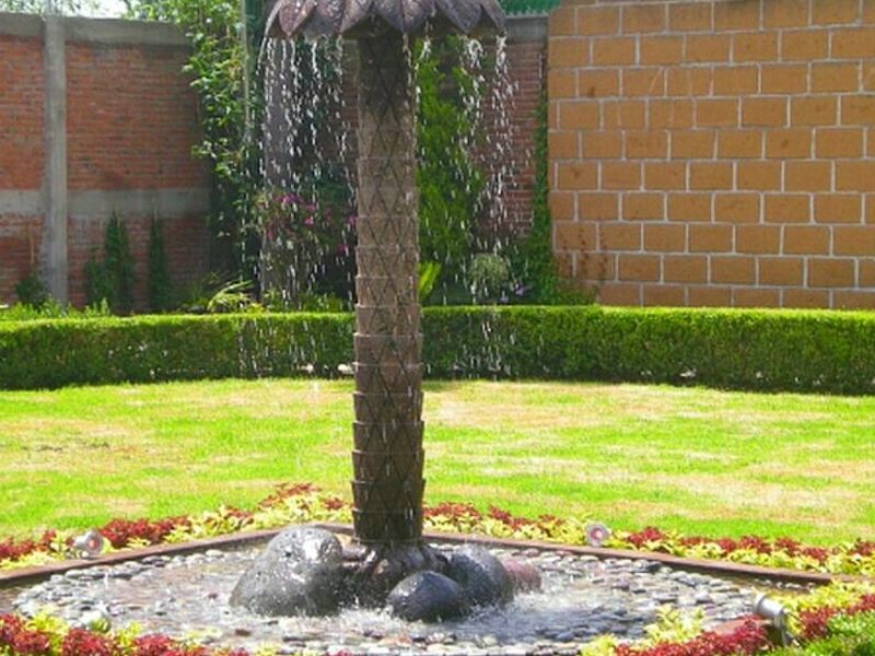 Palmera de cantera México