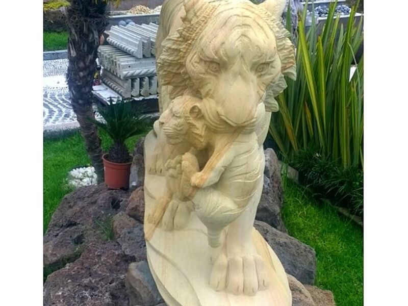 Tigresa de cantera México