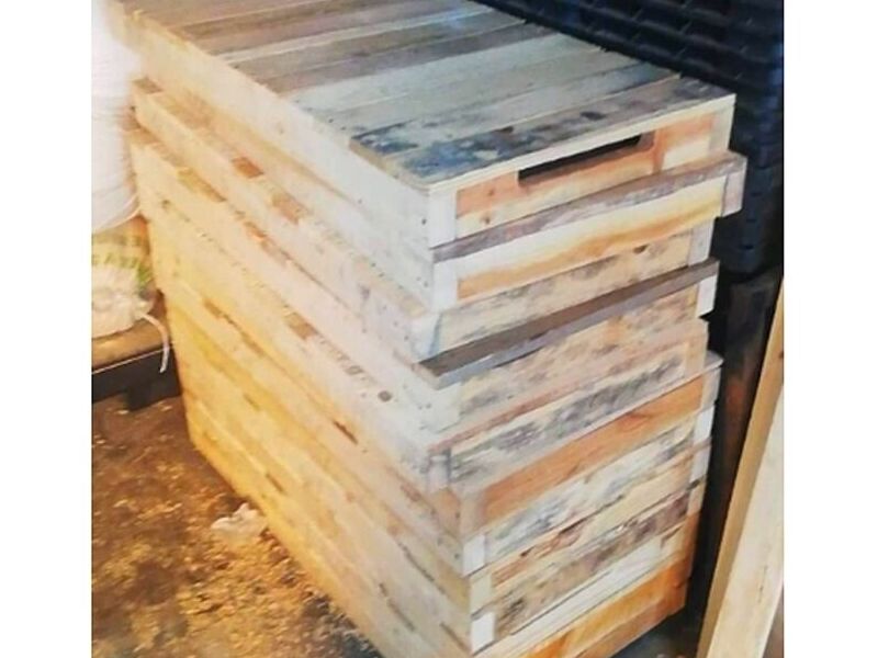 Cimbra Madera Segura México