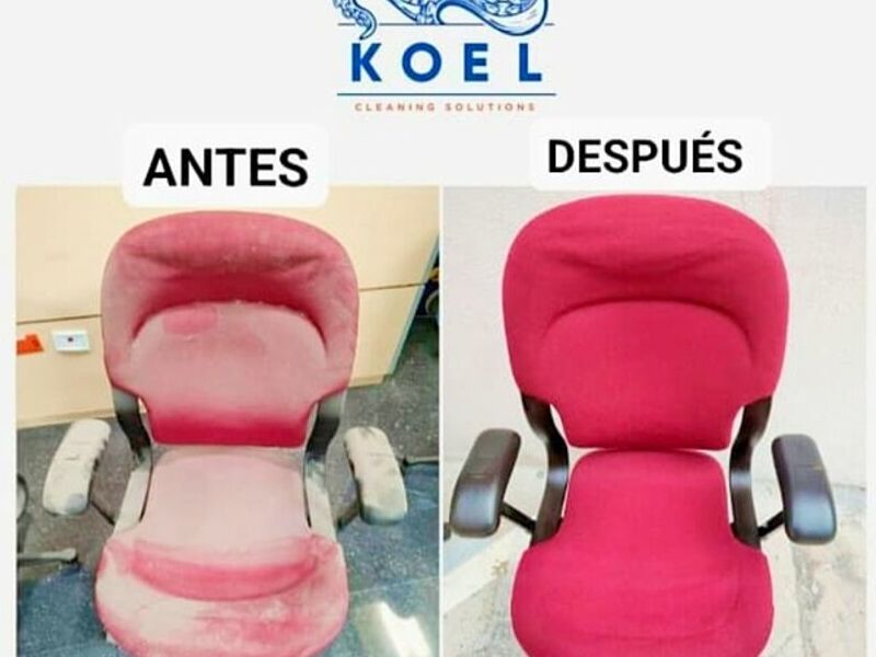 Limpieza sillón