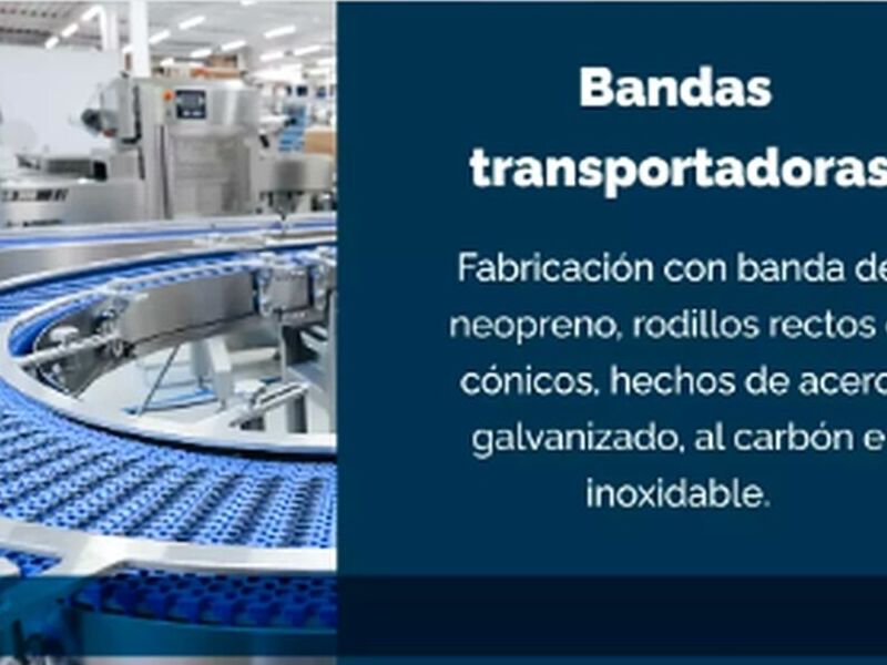 Servicio asesoría industrial México 
