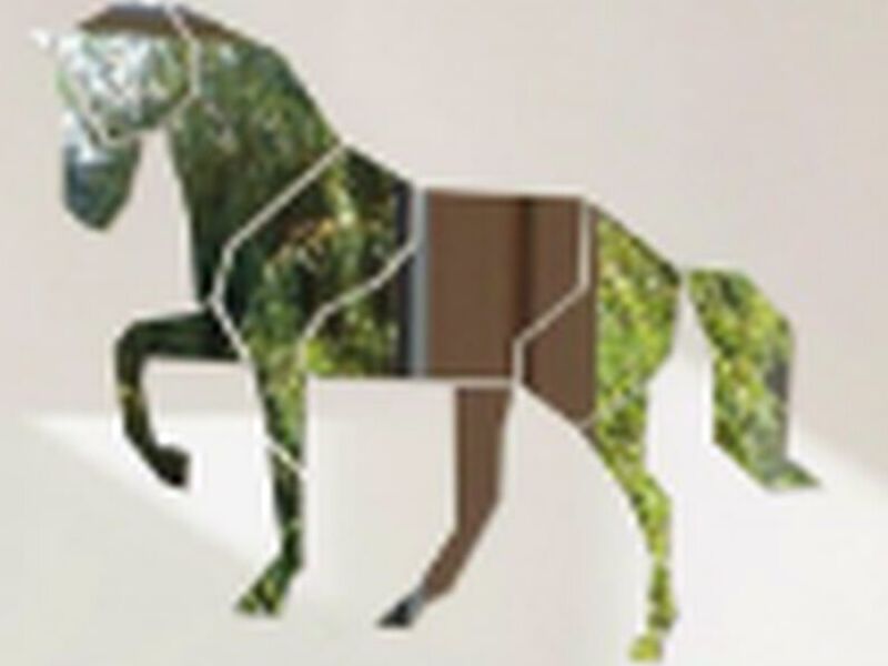 Espejo geométrico caballo México
