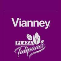 Vianney Plaza Tulipanes