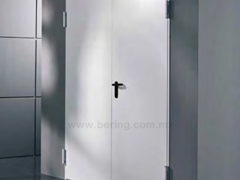 PUERTA DOBLE MARCO BERING CDMX