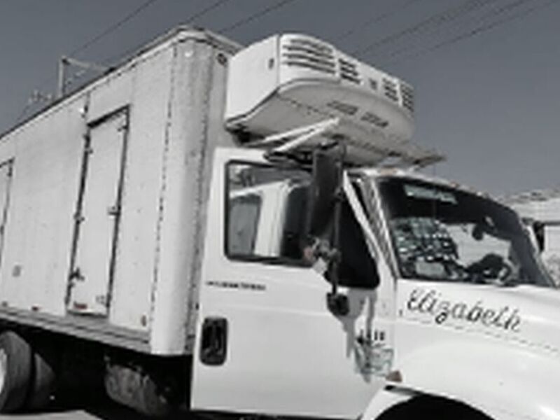TRANSPORTE DE CARGA PESADA JALISCO