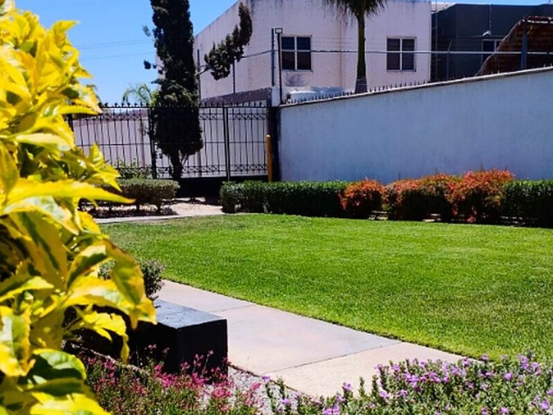 Mantenimiento de jardines MEXICO