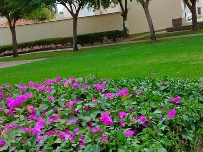 Construcción de jardines MEXICO