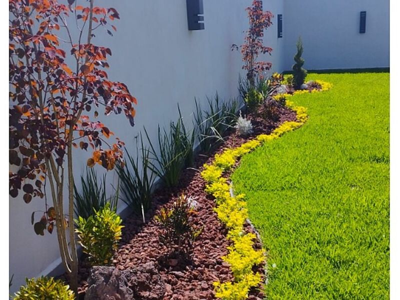 Jardinería  MEXICO