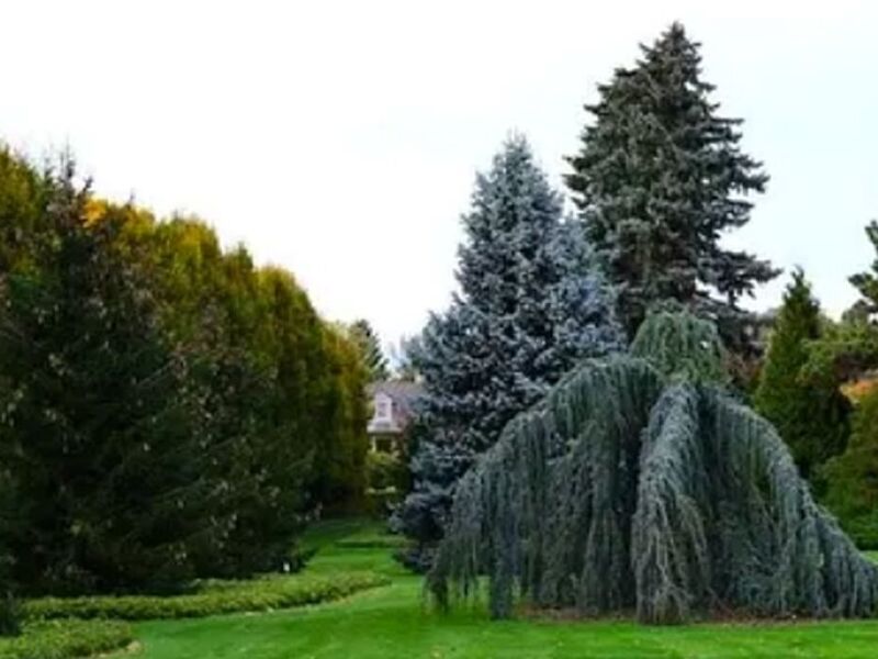 Jardinería institucional MEXICO