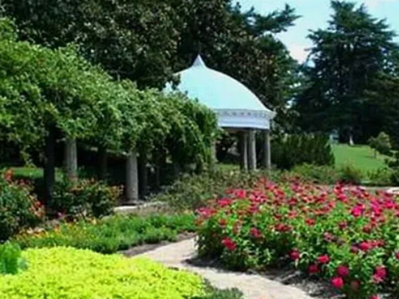 Mantenimiento de jardines MEXICO