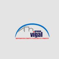 Grupo Vigal