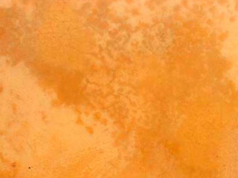 Concreto Decorativo Amarillo Tráfico México