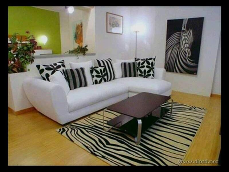 Sala zebra Mexico